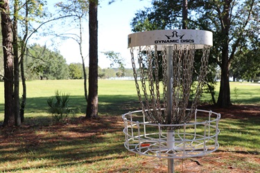 Disc golf basket at the park