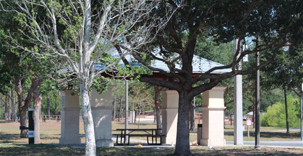 Pavilion covering picnic tables, surrounded by trees.